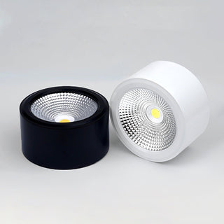Nero Lampe Plafonnier Classique en Acier