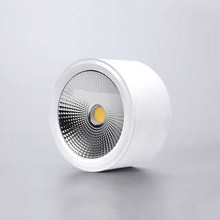 Nero Lampe Plafonnier Classique en Acier