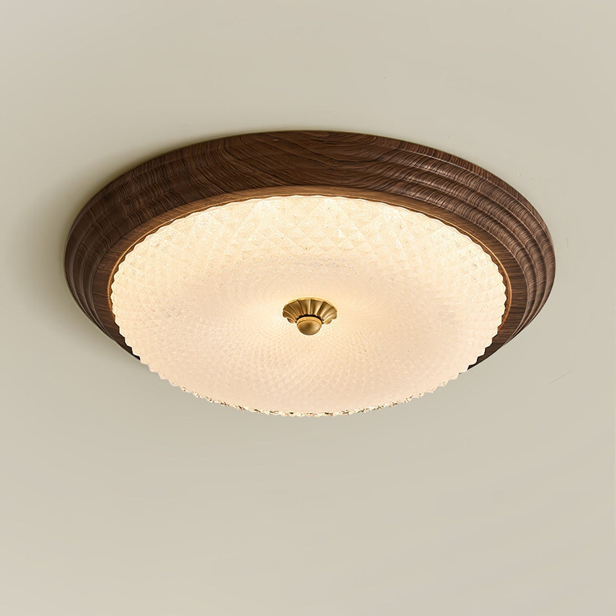 Elviana Lampe de Plafond en Verre Art Nordique Premium