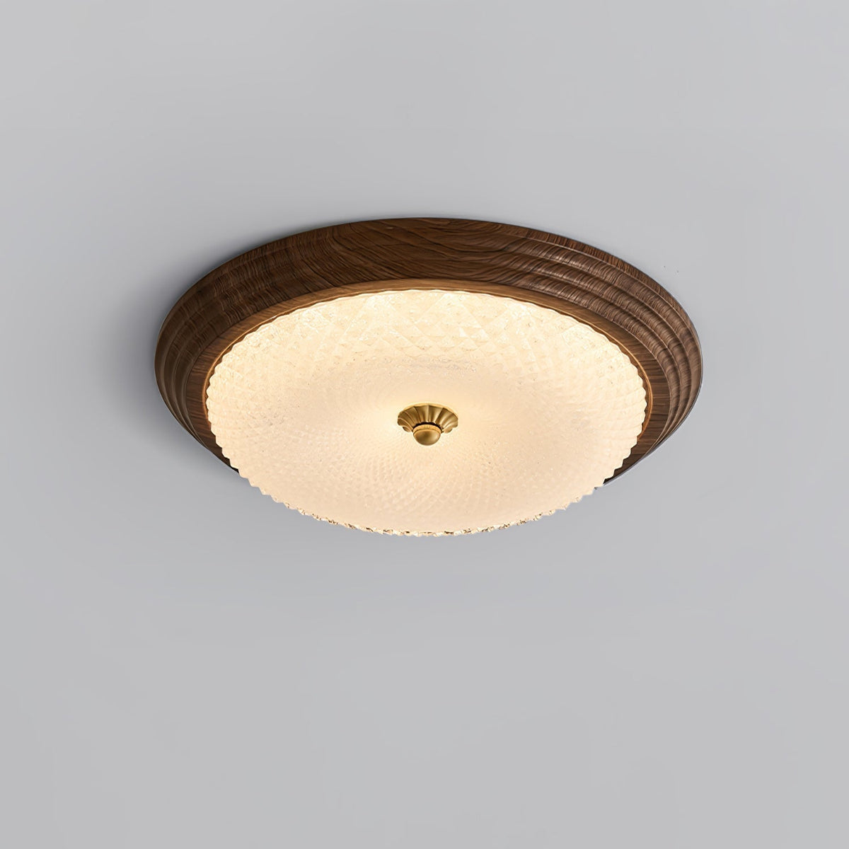 Elviana Lampe de Plafond en Verre Art Nordique Premium