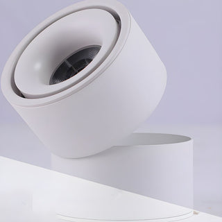 Evsolia Plafonnier Moderne Minimaliste à Surface