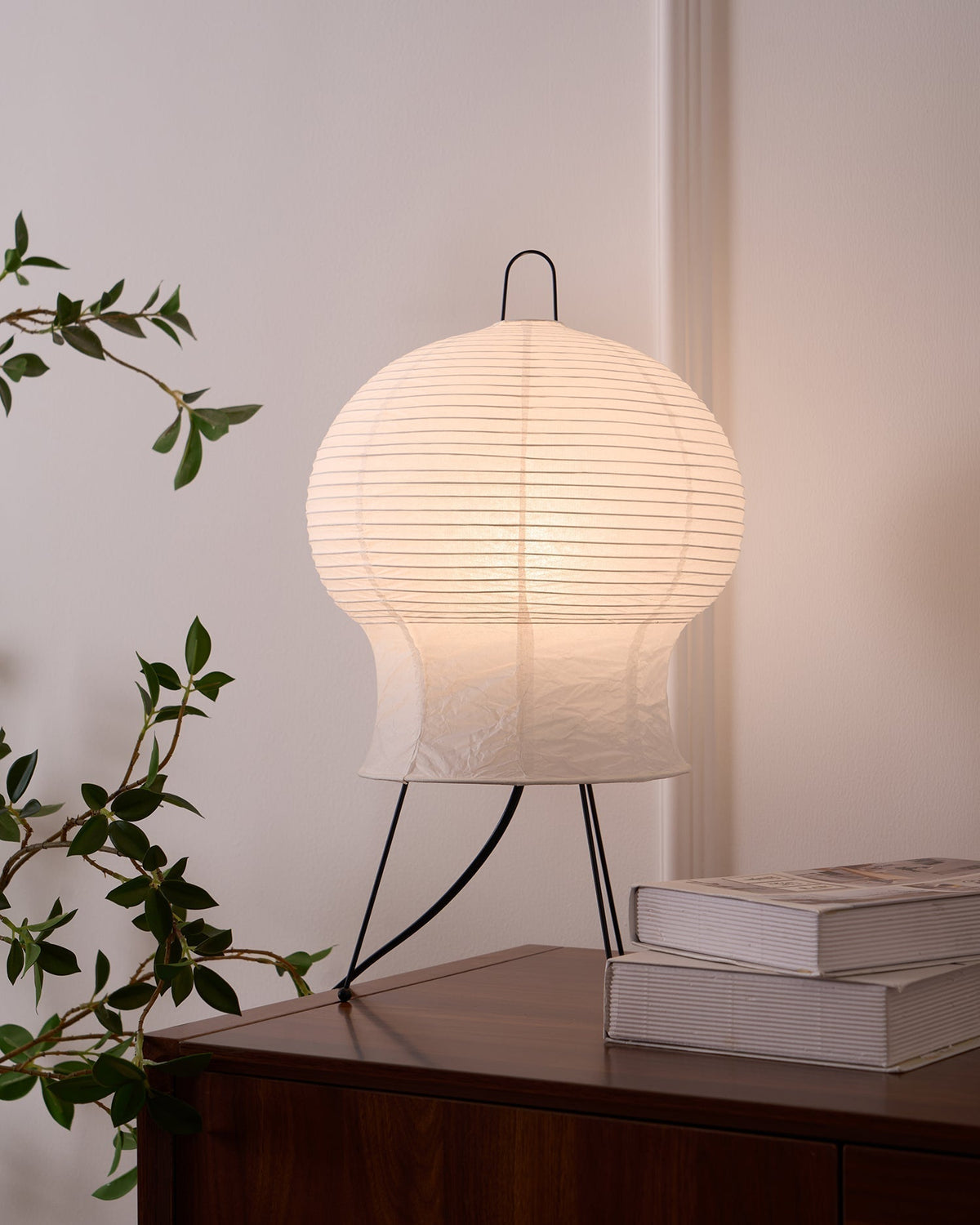 Selanaya Lampe de Table