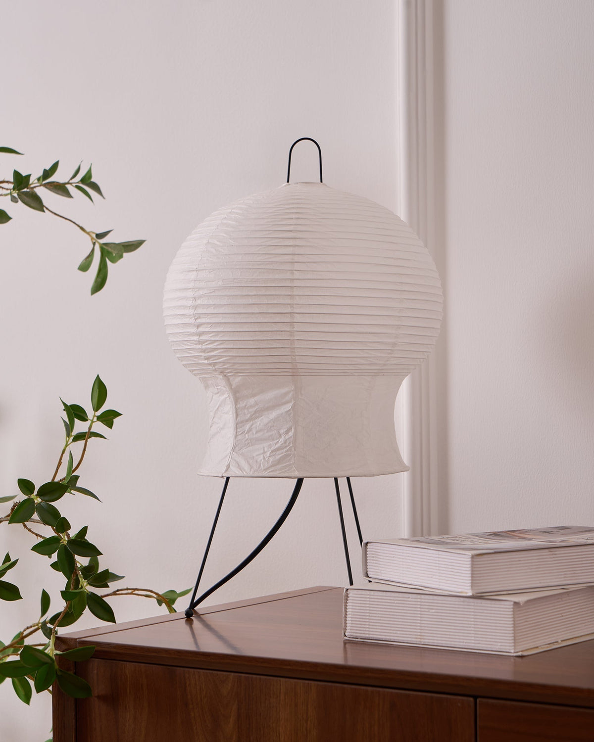 Selanaya Lampe de Table