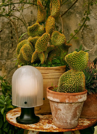 Aura Fluted Table Lamp-Neutral Decor