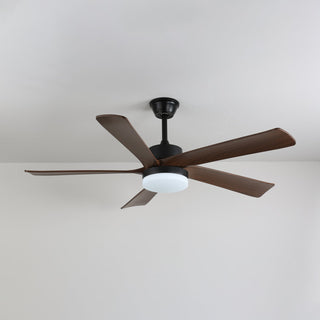 Eryndor Plafonnier Ventilateur Moderne en Bois