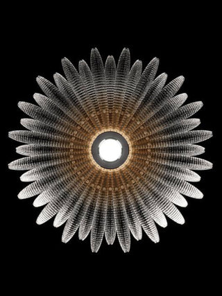 Aurelia Glass Petal Ceiling Light-Neutral Decor