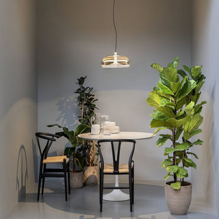 Cotalor Nordic Art LED Verre Suspension