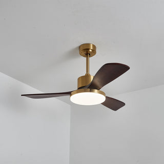 Xen Plafonnier Ventilateur Moderne en Bois