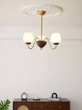 Sytheiel Lustre Bois Verre Premium Élégance