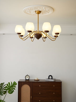 Sytheiel Lustre Bois Verre Premium Élégance