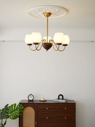 Sytheiel Lustre Bois Verre Premium Élégance