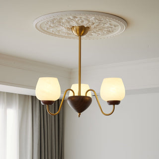 Sytheiel Lustre Bois Verre Premium Élégance