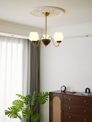 Sytheiel Lustre Bois Verre Premium Élégance