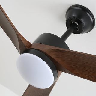 Ventilateur de plafond moderne en bois avec lumière Evraeis