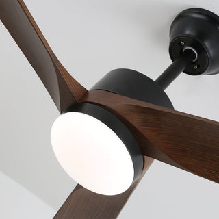 Ventilateur de plafond moderne en bois avec lumière Evraeis