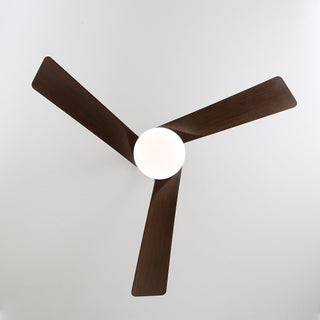 Ventilateur de plafond moderne en bois avec lumière Evraeis