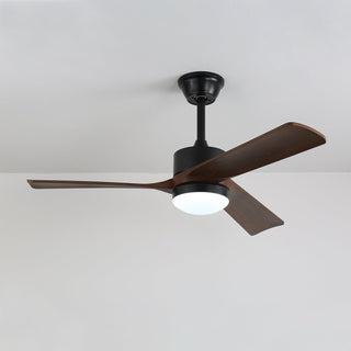 Ventilateur de plafond moderne en bois avec lumière Evraeis