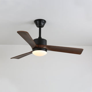 Ventilateur de plafond moderne en bois avec lumière Evraeis