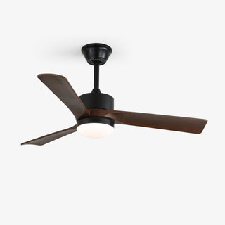 Ventilateur de plafond moderne en bois avec lumière Evraeis