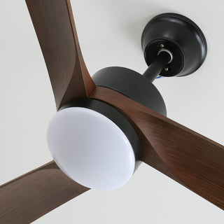Ventilateur de plafond moderne en bois avec lumière Evraeis
