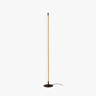 Ray Simple Linéaire LED Lampadaire Or Noir Métal Gel de Silice Salon Chambre