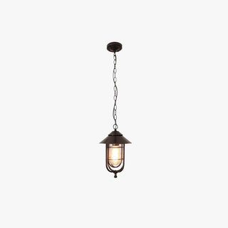 Silva Suspension Extérieure Lanterne Vintage, Métal/Verre, Noir/Bronze, Jardin
