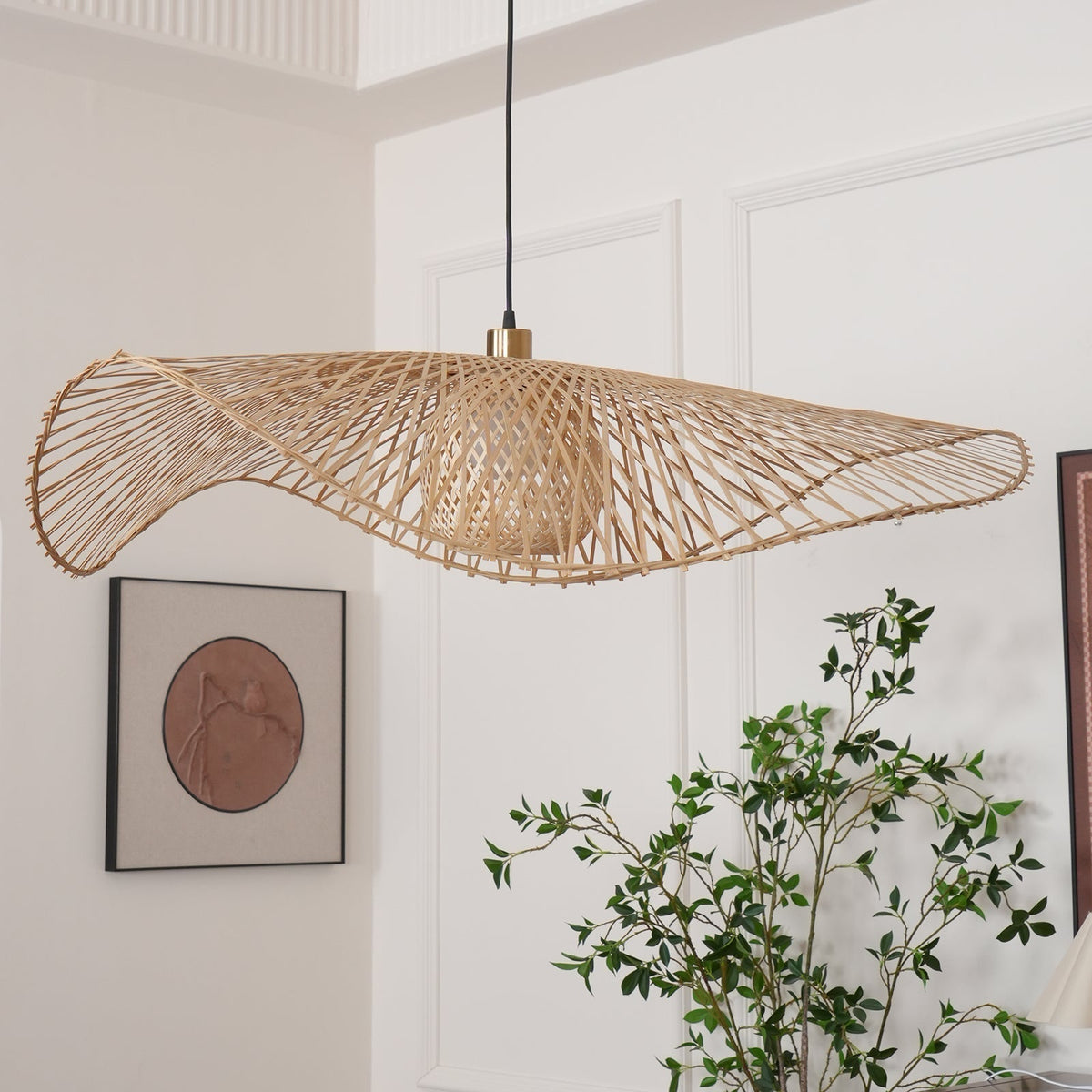 Ciranise Suspension