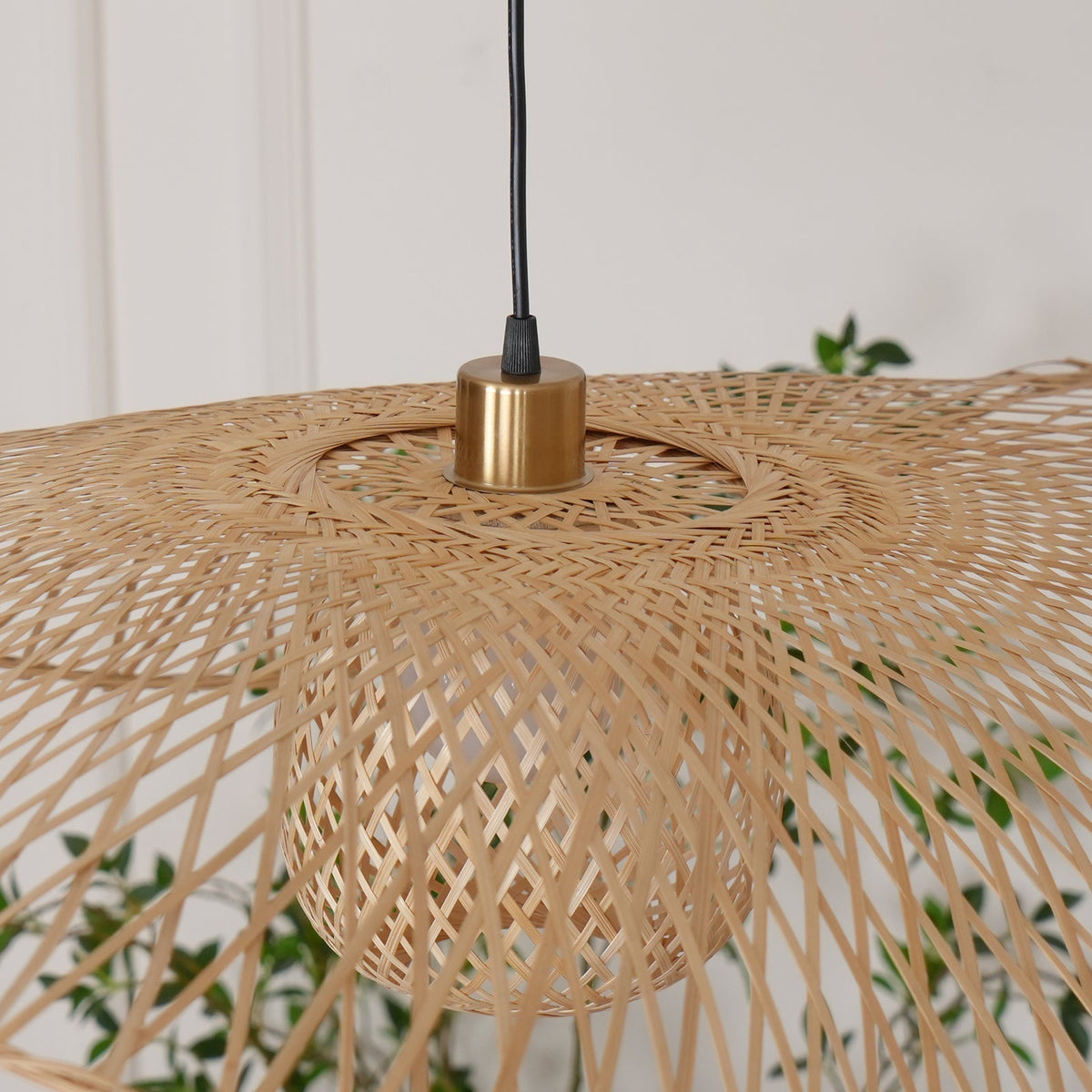 Ciranise Suspension