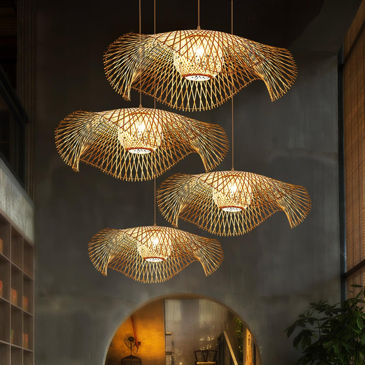 Ciranise Suspension