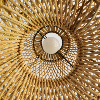 Teriuine Suspension