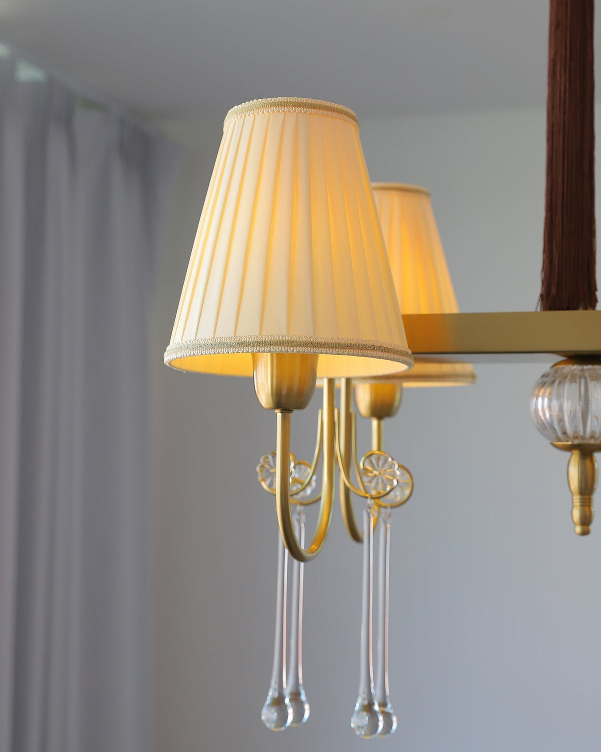 Mondia Lustre