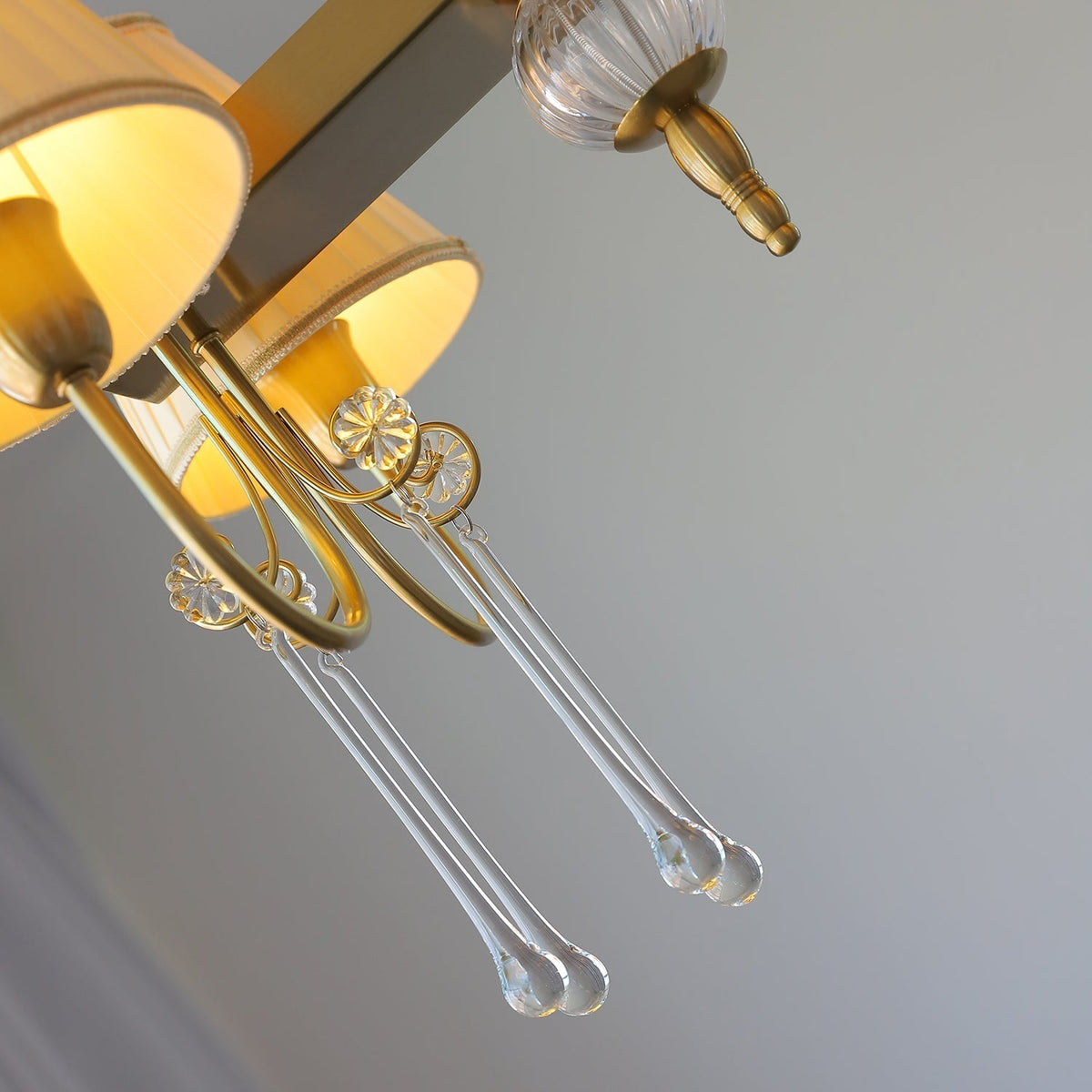 Mondia Lustre