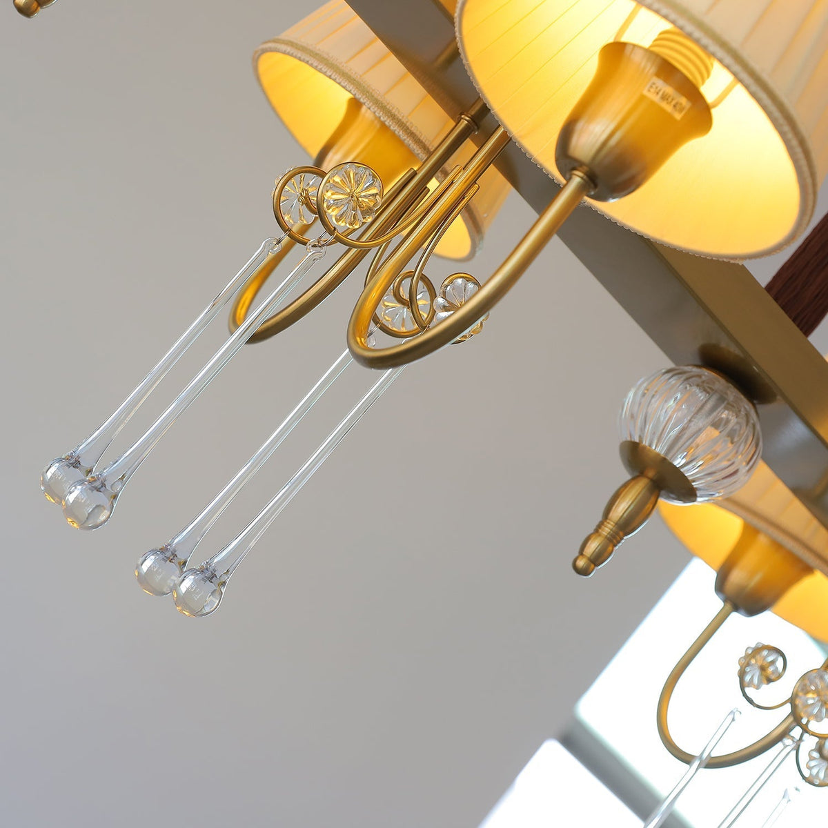 Mondia Lustre