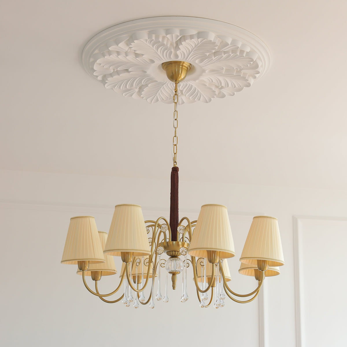 Mondia Lustre