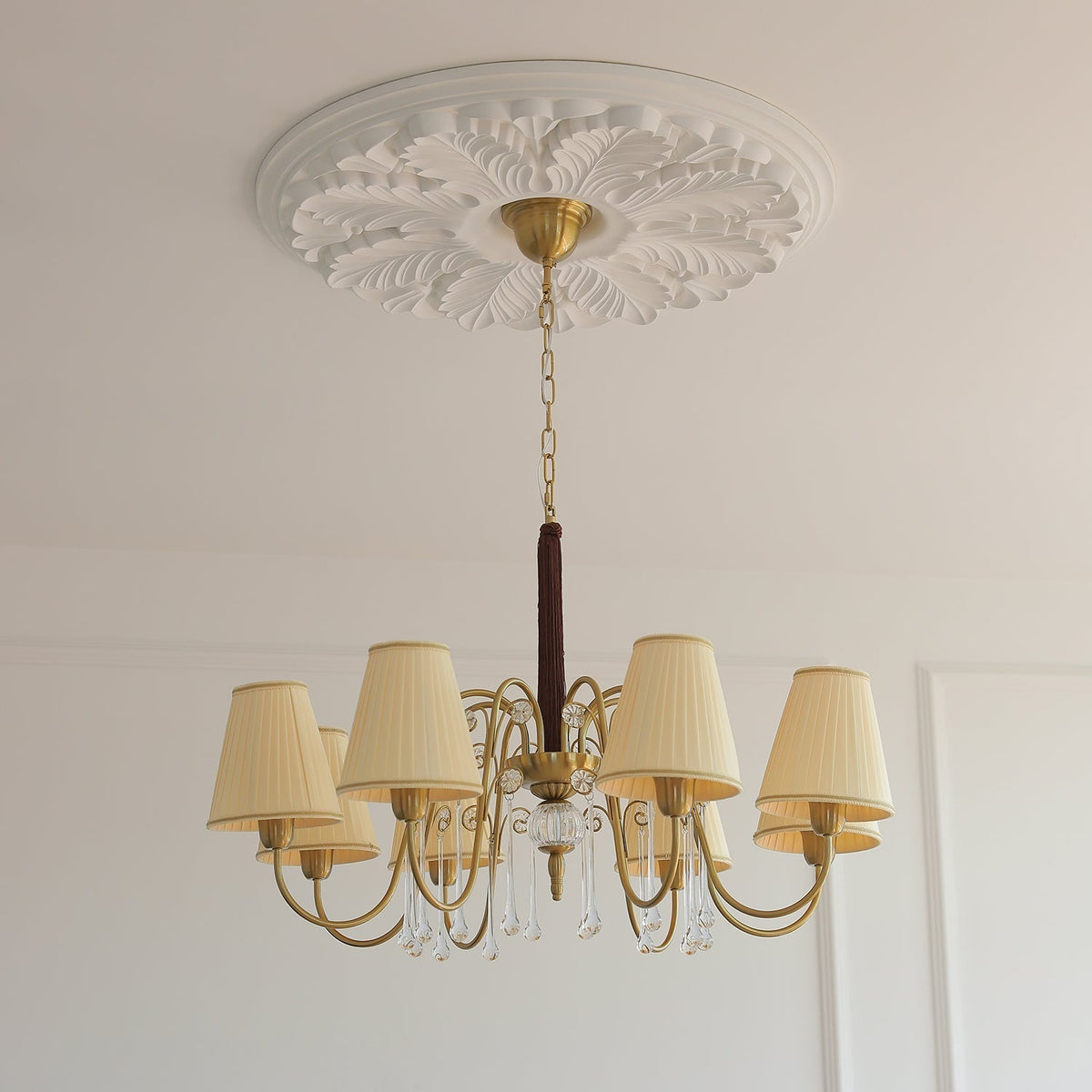 Mondia Lustre