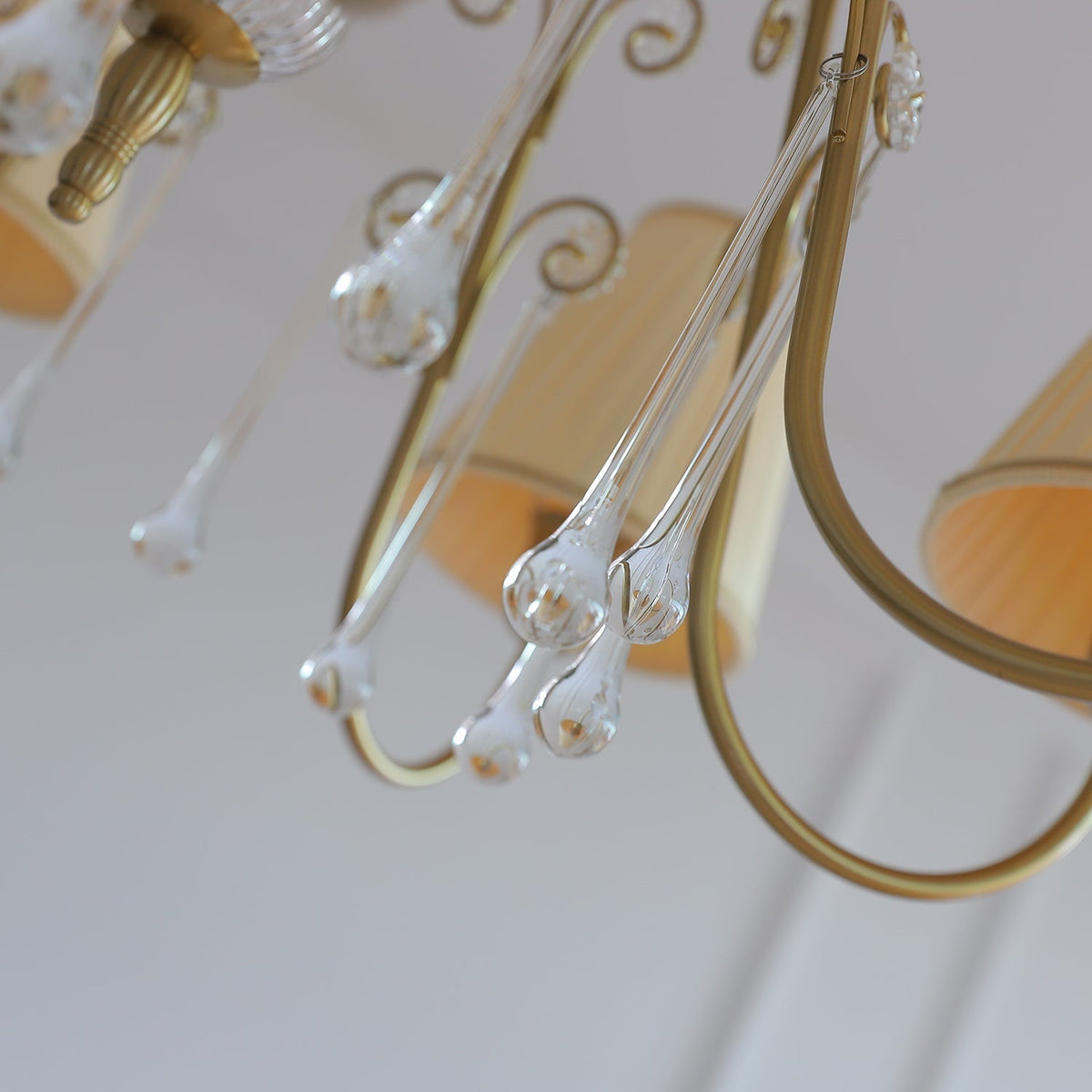 Mondia Lustre