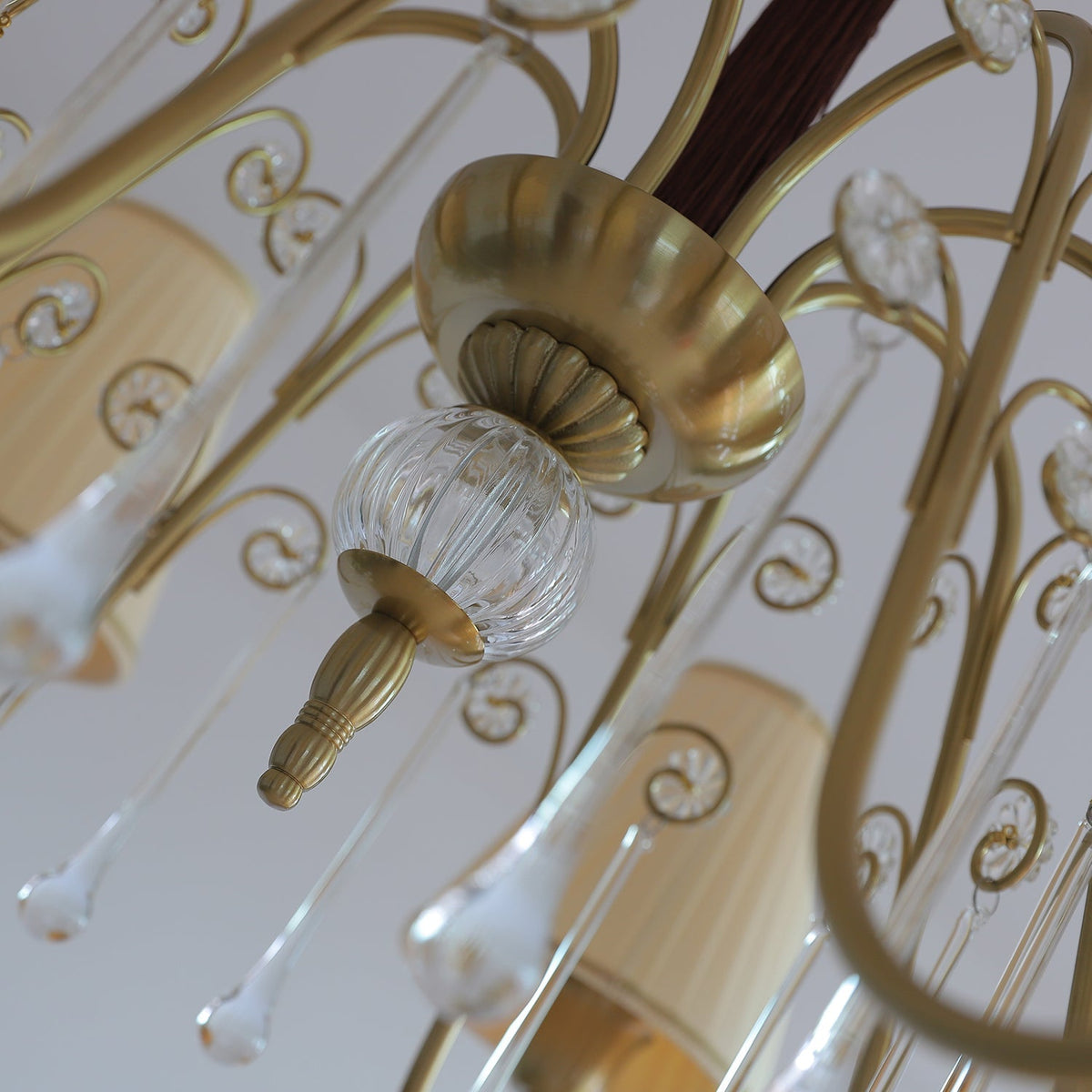 Mondia Lustre
