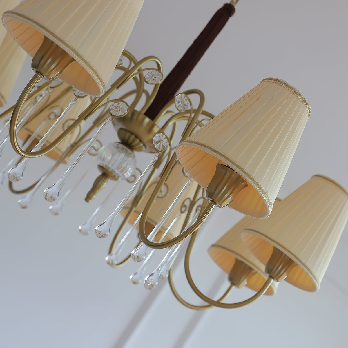 Mondia Lustre