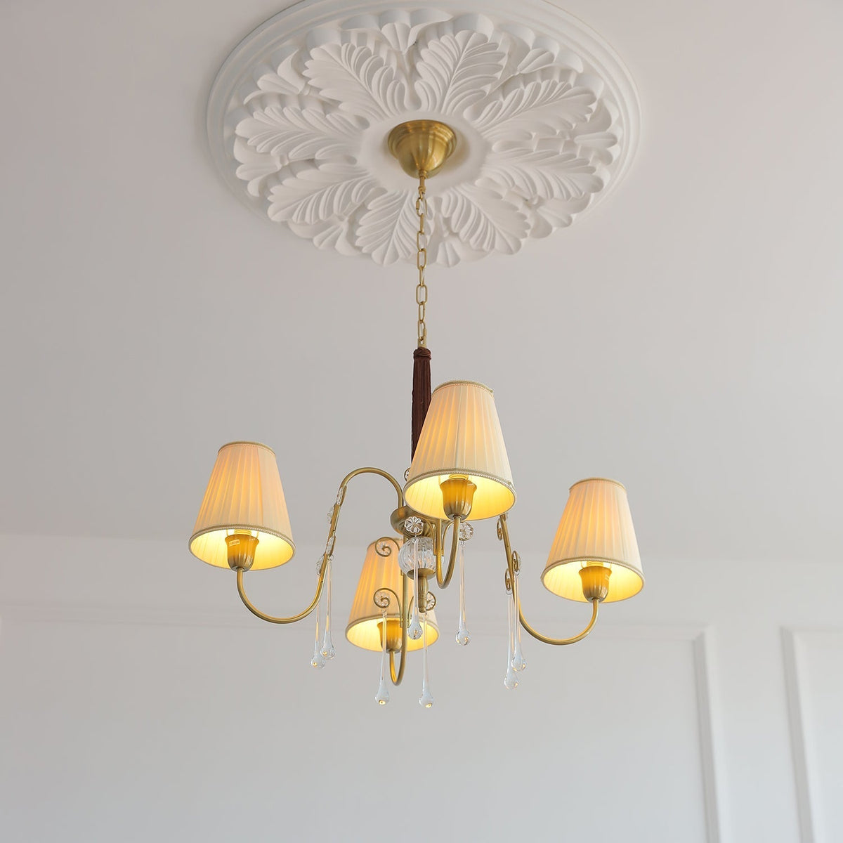 Mondia Lustre