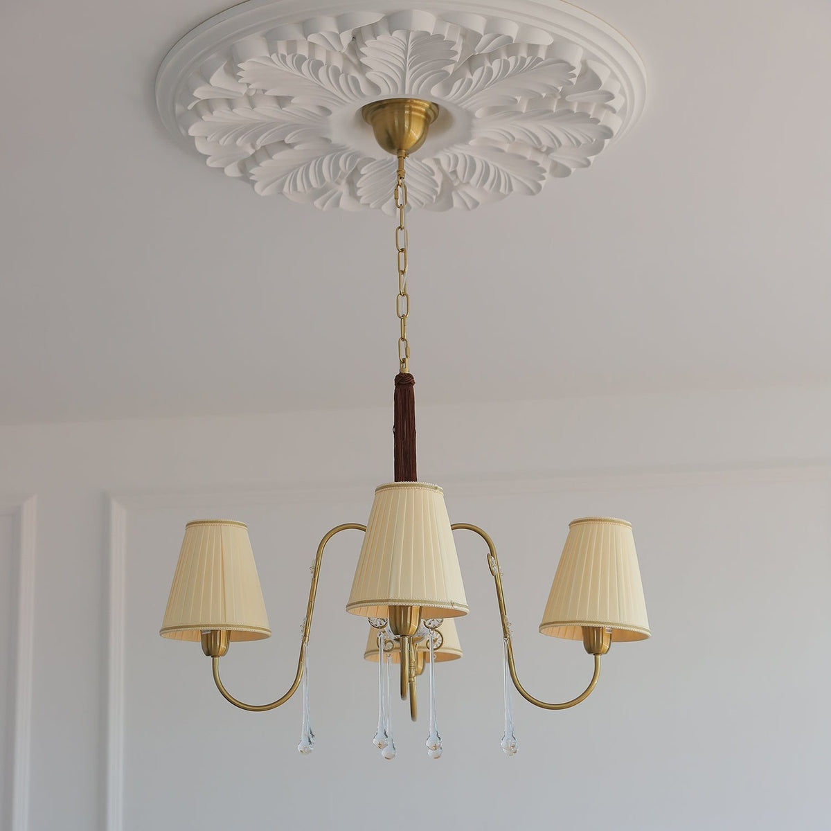 Mondia Lustre