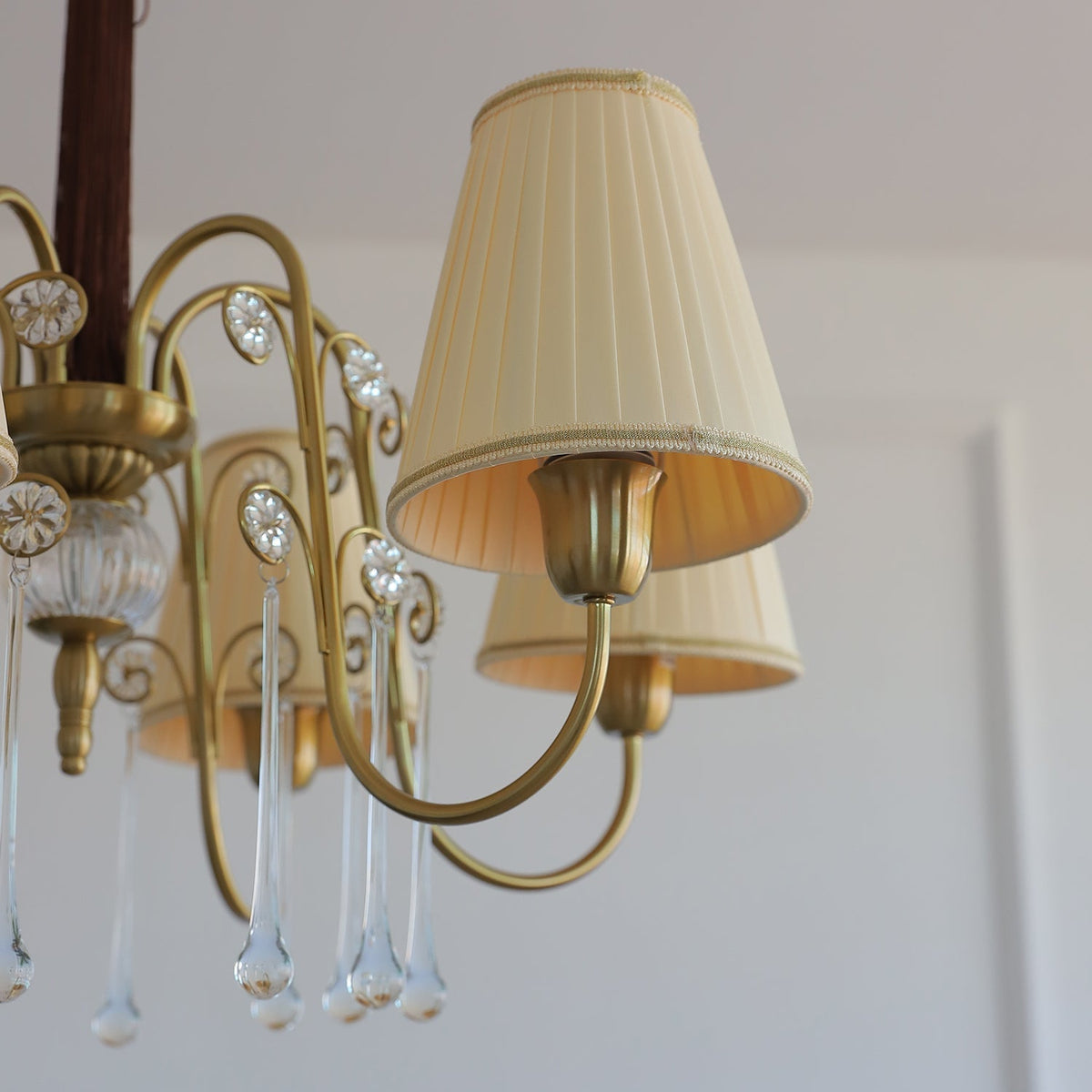 Mondia Lustre