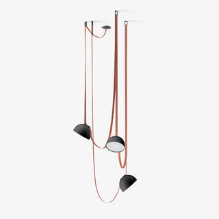 Nerithic Suspension Contemporaine-Luire