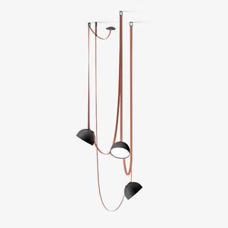 Nerithic Suspension Contemporaine-Luire
