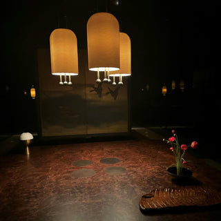 Voloraris Suspension en Verre Élégance Traditionnelle