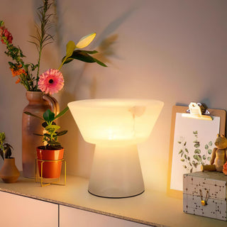 Ane Lampe de Table en Albâtre