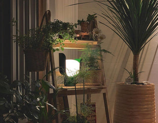Zuri Lampe de Table Minimaliste en Plastique