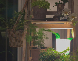 Zuri Lampe de Table Minimaliste en Plastique