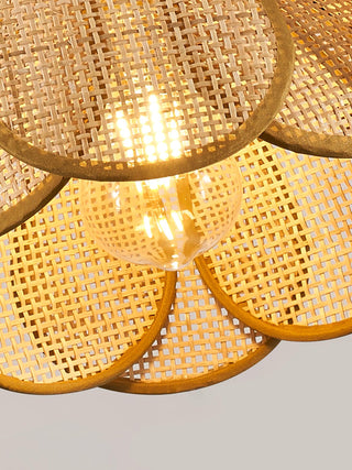 Eurvinel Élégance Floraison Rotin Tissu Suspension