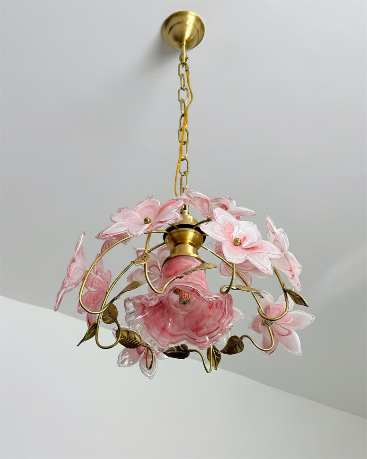Orelaeria Suspension