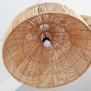 Ritta Vintage Artisanal Rotin Suspension Salon